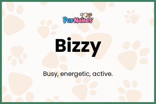 Bizzy dog name meaning