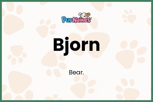 Bjorn dog name meaning