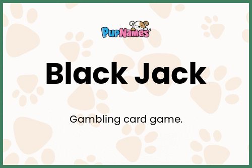 Black Jack dog name meaning