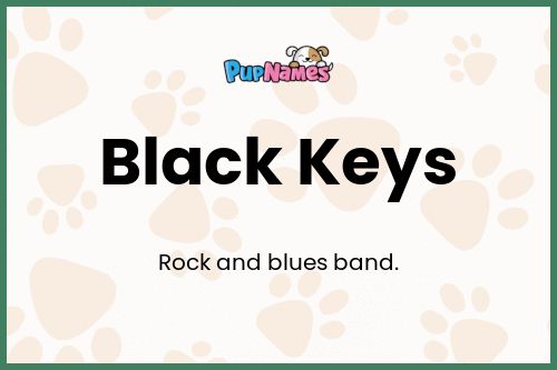 Black Keys dog name meaning