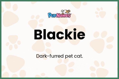 Blackie dog name meaning