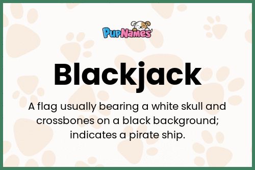 Blackjack dog name meaning