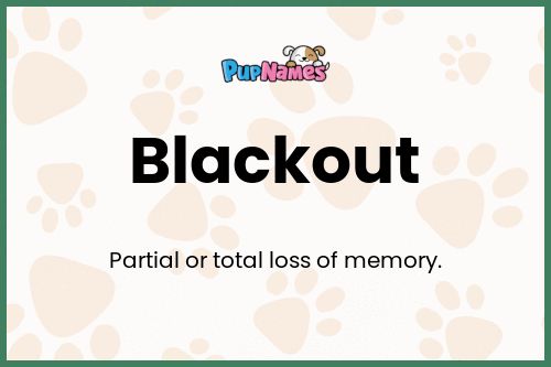 Blackout dog name meaning