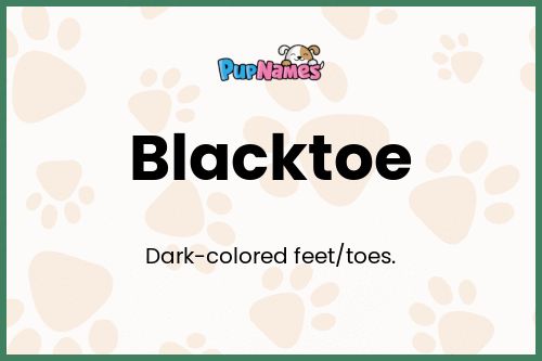 Blacktoe dog name meaning