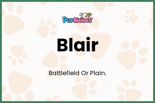 Blair dog name meaning