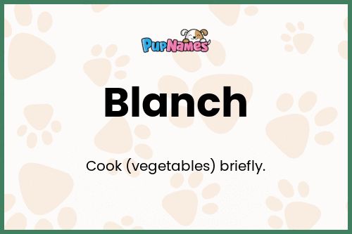 Blanch dog name meaning