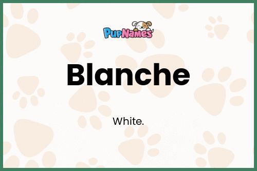 Blanche dog name meaning