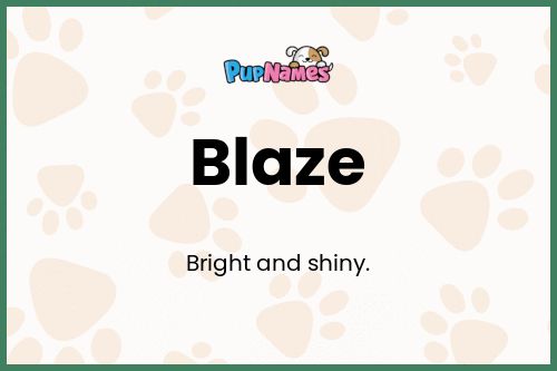 Blaze dog name meaning