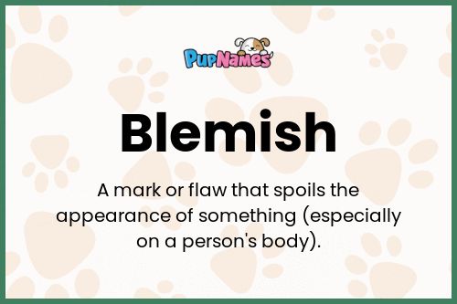 Blemish dog name meaning