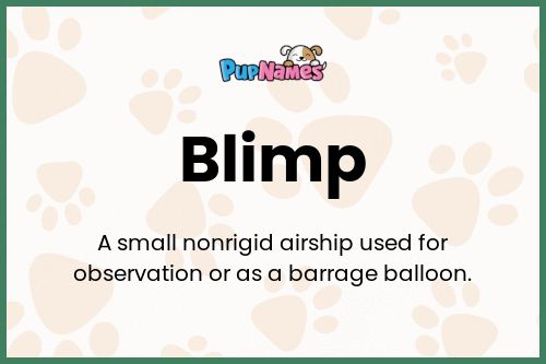 Blimp dog name meaning