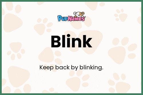 Blink dog name meaning