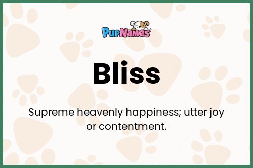 Bliss dog name meaning