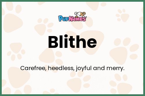 Blithe dog name meaning