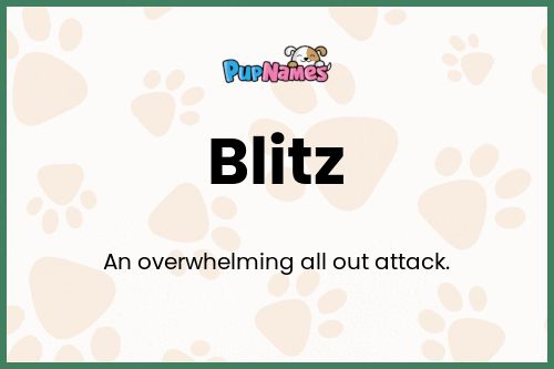 Blitz dog name meaning