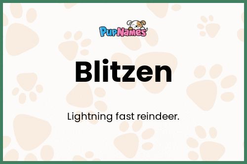 Blitzen dog name meaning