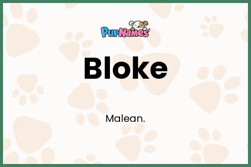 Bloke dog name meaning