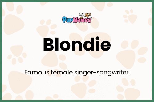 Blondie dog name meaning