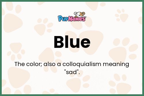 Blue dog name meaning