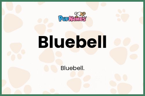 Bluebell dog name meaning