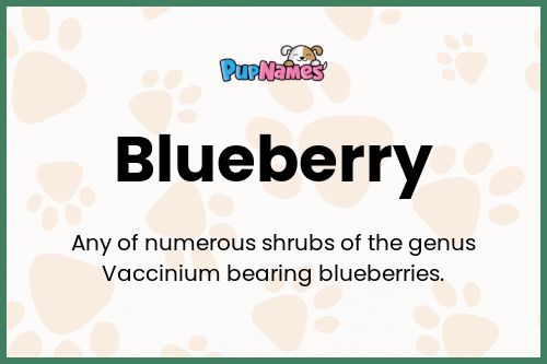 Blueberry dog name meaning