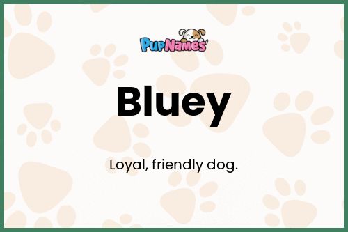 Bluey dog name meaning