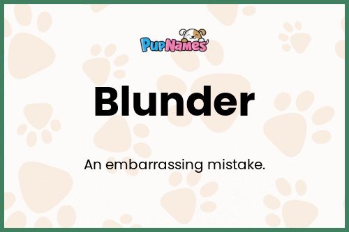 Blunder dog name meaning