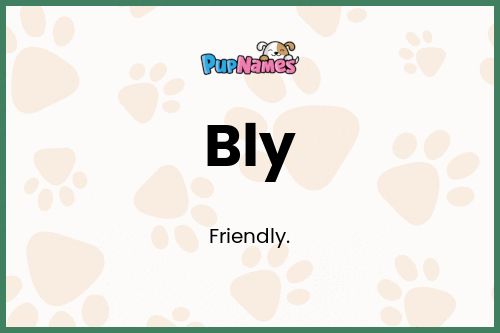 Bly dog name meaning