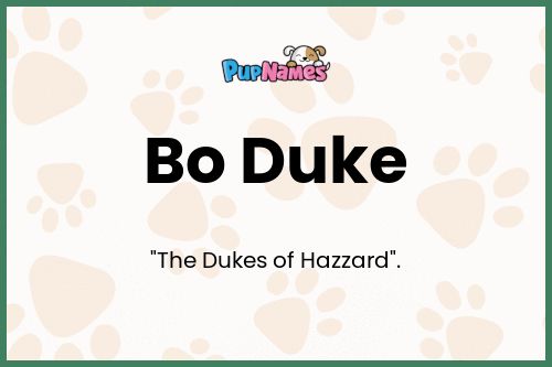 Bo Duke dog name meaning