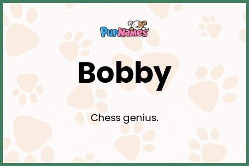 Bobby dog name meaning