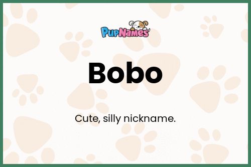 Bobo dog name meaning