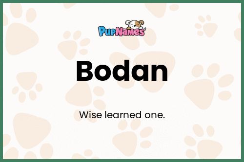 Bodan dog name meaning