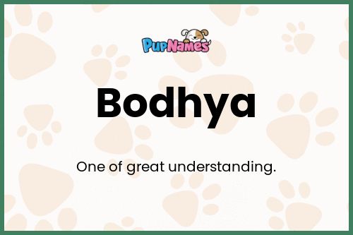 Bodhya dog name meaning