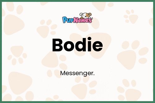 Bodie dog name meaning