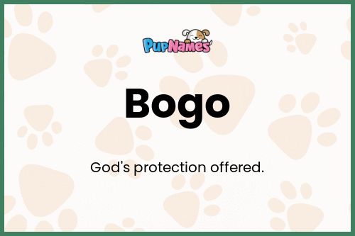 Bogo dog name meaning