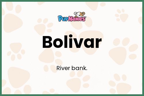 Bolivar dog name meaning