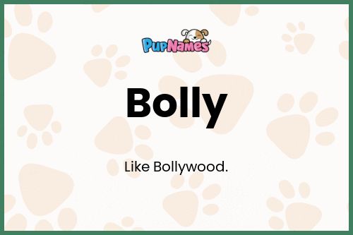 Bolly dog name meaning