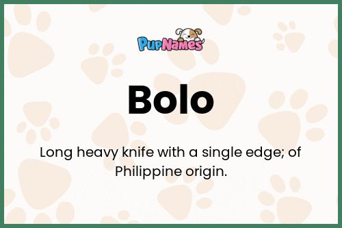 Bolo dog name meaning