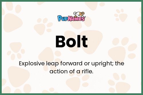 Bolt dog name meaning