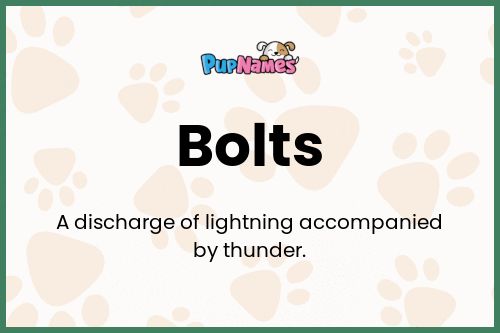 Bolts dog name meaning