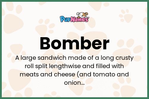 Bomber dog name meaning