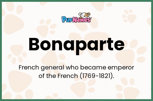 Bonaparte dog name meaning