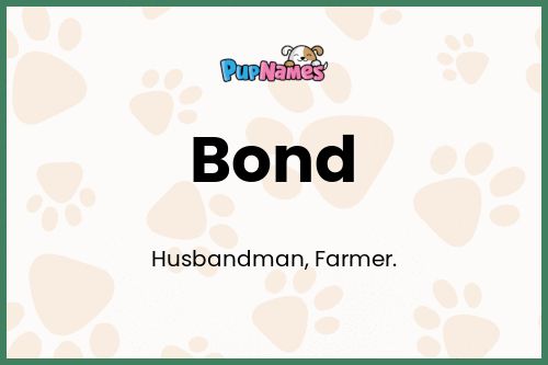 Bond dog name meaning