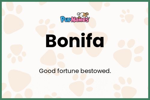 Bonifa dog name meaning