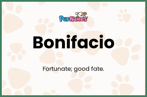 Bonifacio dog name meaning