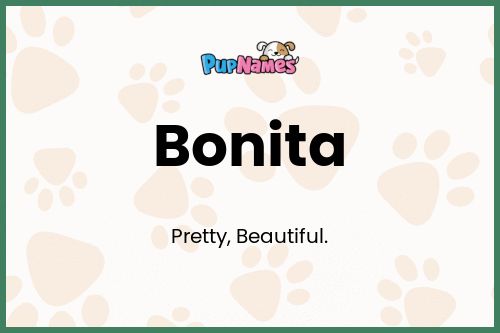 Bonita dog name meaning