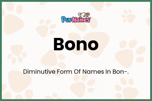 Bono dog name meaning