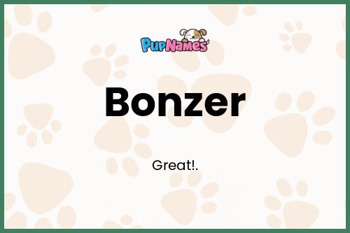 Bonzer dog name meaning