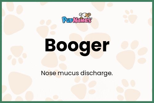 Booger dog name meaning