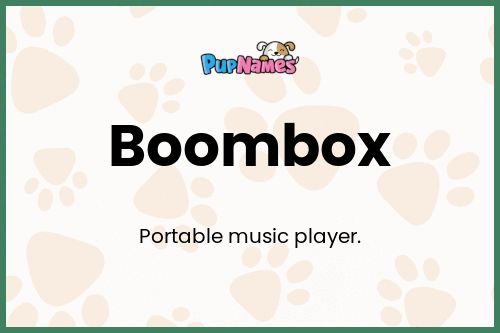 Boombox dog name meaning