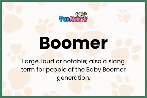 Boomer dog name meaning